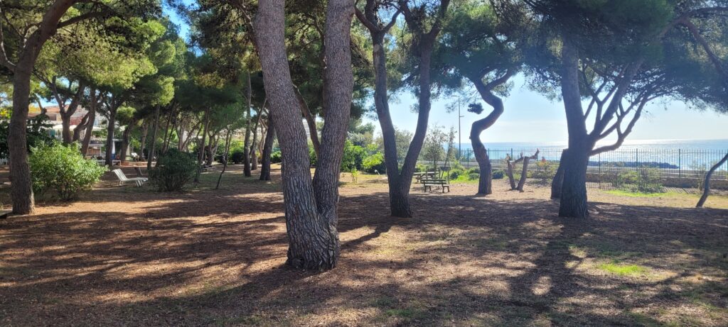 La pinède du domaine du Lazaret face à la mer, à Sète